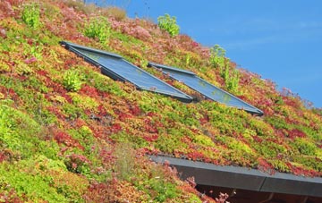 Pennsylvania living roof systems